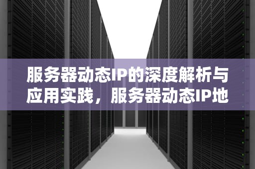 服务器动态IP的深度解析与应用实践，服务器动态IP地址访问
