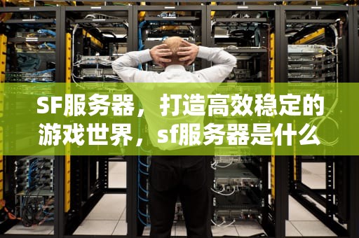 SF服务器，打造高效稳定的游戏世界，sf服务器是什么
