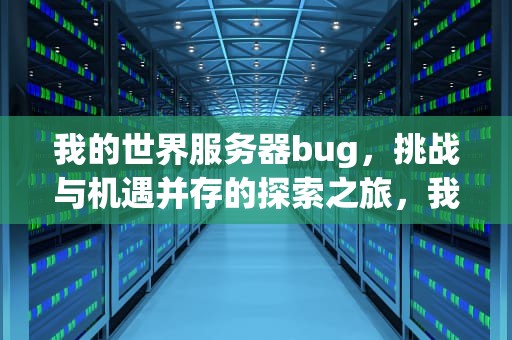 我的世界服务器bug，挑战与机遇并存的探索之旅，我的世界服务器bug卡创造