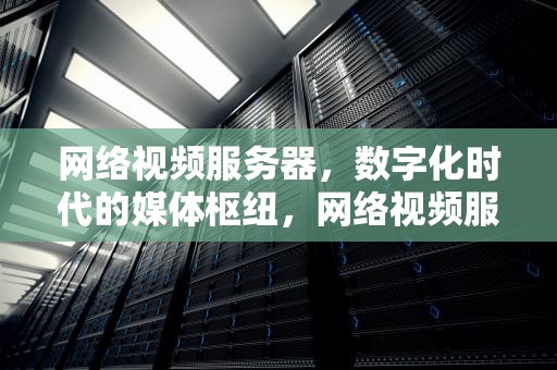 网络视频服务器，数字化时代的媒体枢纽，网络视频服务器怎么用