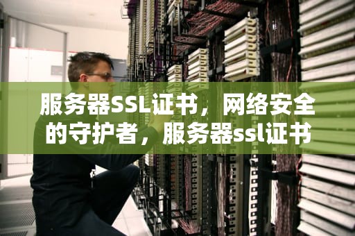 服务器SSL证书，网络安全的守护者，服务器ssl证书不正确