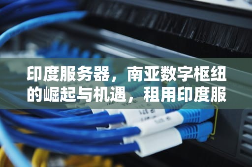 印度服务器，南亚数字枢纽的崛起与机遇，租用印度服务器