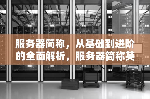 服务器简称，从基础到进阶的全面解析，服务器简称英文