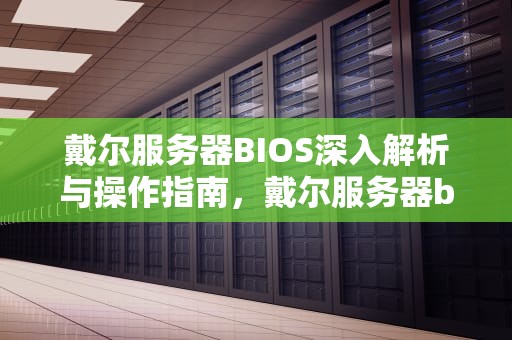 戴尔服务器BIOS深入解析与操作指南，戴尔服务器bios恢复出厂设置