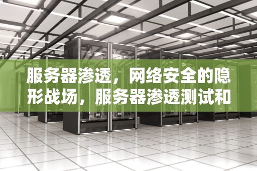 服务器渗透，网络安全的隐形战场，服务器渗透测试和漏洞扫描 多少钱