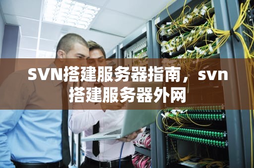 SVN搭建服务器指南，svn搭建服务器外网