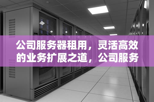 公司服务器租用，灵活高效的业务扩展之道，公司服务器租用多少钱一年