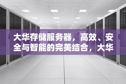 大华存储服务器，高效、安全与智能的完美结合，大华存储服务器说明书