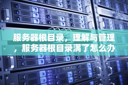 服务器根目录，理解与管理，服务器根目录满了怎么办