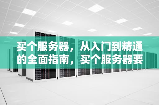 买个服务器，从入门到精通的全面指南，买个服务器要多少钱