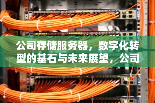 公司存储服务器，数字化转型的基石与未来展望，公司存储服务器搭建