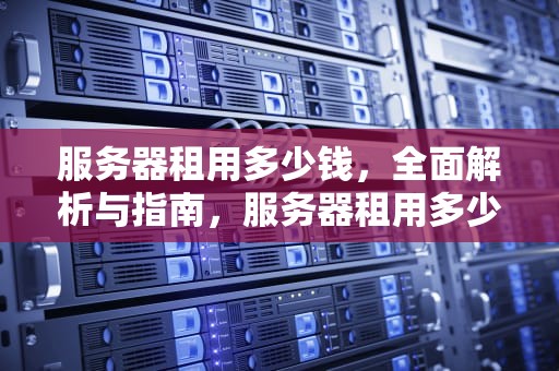 服务器租用多少钱，全面解析与指南，服务器租用多少钱一年