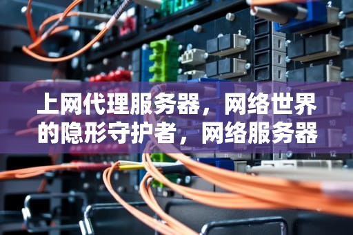 上网代理服务器，网络世界的隐形守护者，网络服务器代理