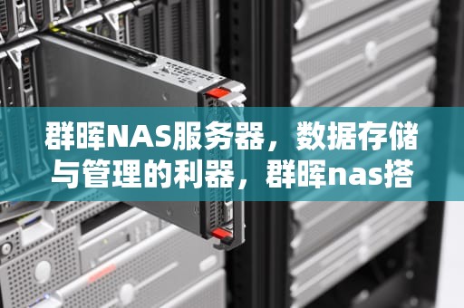 群晖NAS服务器，数据存储与管理的利器，群晖nas搭建云服务器