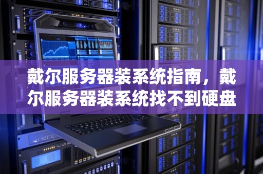 戴尔服务器装系统指南，戴尔服务器装系统找不到硬盘