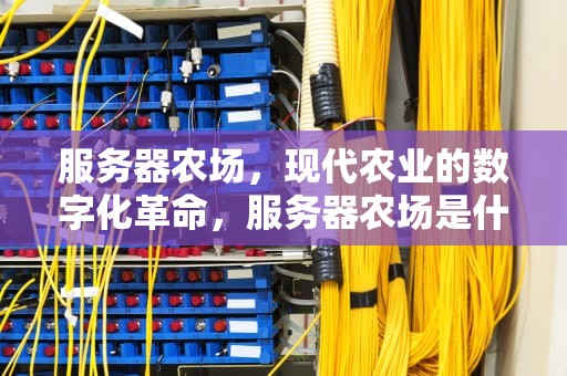 服务器农场，现代农业的数字化革命，服务器农场是什么