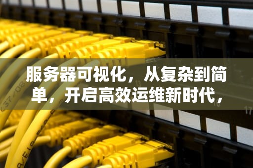 服务器可视化，从复杂到简单，开启高效运维新时代，服务器可视化工具