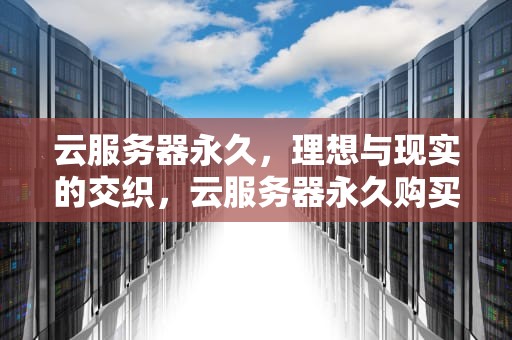 云服务器永久，理想与现实的交织，云服务器永久购买