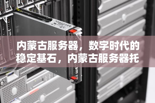内蒙古服务器，数字时代的稳定基石，内蒙古服务器托管