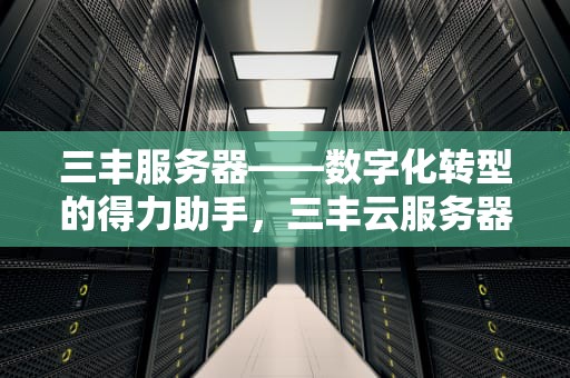 三丰服务器——数字化转型的得力助手，三丰云服务器