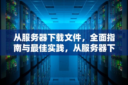 从服务器下载文件，全面指南与最佳实践，从服务器下载文件到本地命令