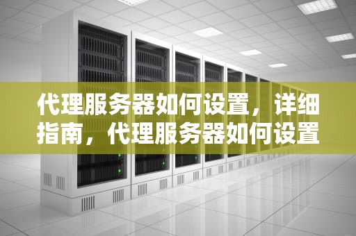 代理服务器如何设置，详细指南，代理服务器如何设置完全访问