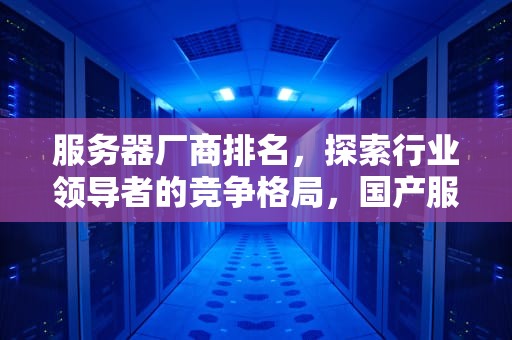 服务器厂商排名，探索行业领导者的竞争格局，国产服务器厂商排名