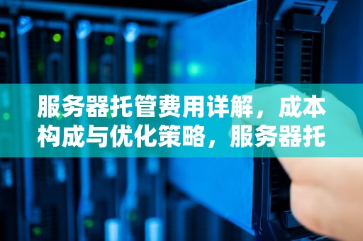 服务器托管费用详解，成本构成与优化策略，服务器托管费用一般多少