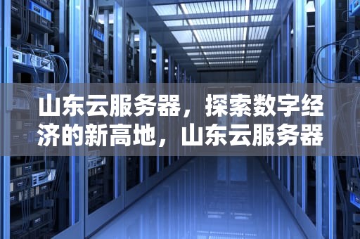 山东云服务器，探索数字经济的新高地，山东云服务器平台