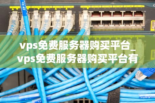 vps免费服务器购买平台_vps免费服务器购买平台有哪些_探索VPS免费服务器购买平台