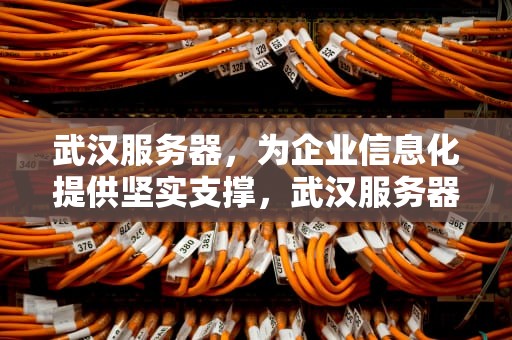 武汉服务器，为企业信息化提供坚实支撑，武汉服务器出租