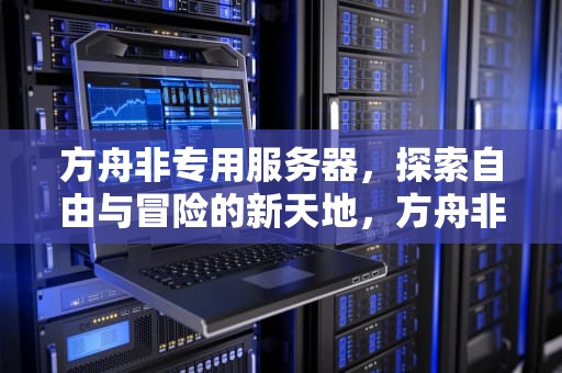 方舟非专用服务器，探索自由与冒险的新天地，方舟非专用服务器存档在哪