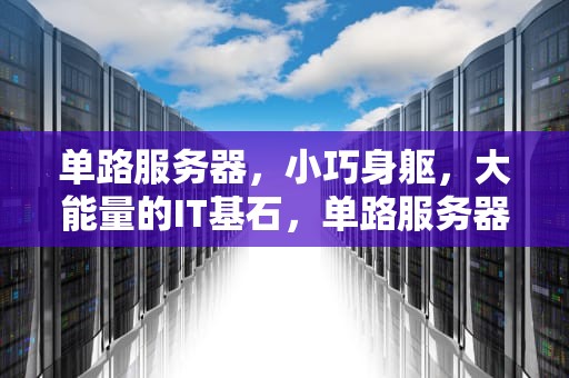 单路服务器，小巧身躯，大能量的IT基石，单路服务器和双路服务器区别