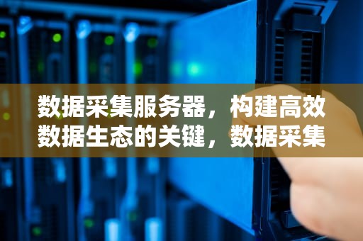 数据采集服务器，构建高效数据生态的关键，数据采集服务器是什么