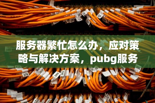 服务器繁忙怎么办，应对策略与解决方案，pubg服务器繁忙怎么办