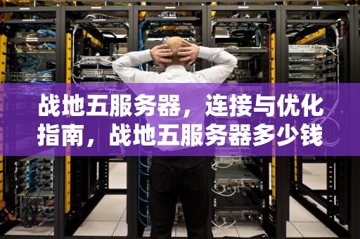 战地五服务器，连接与优化指南，战地五服务器多少钱一个月