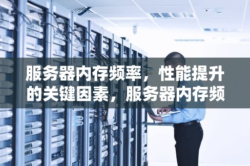服务器内存频率，性能提升的关键因素，服务器内存频率怎么看