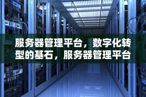服务器管理平台，数字化转型的基石，服务器管理平台有哪些