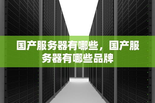 国产服务器有哪些，国产服务器有哪些品牌