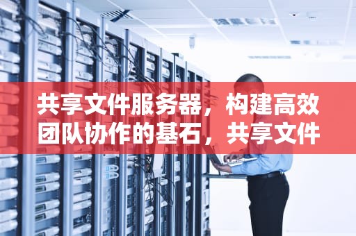 共享文件服务器，构建高效团队协作的基石，共享文件服务器搭建方案