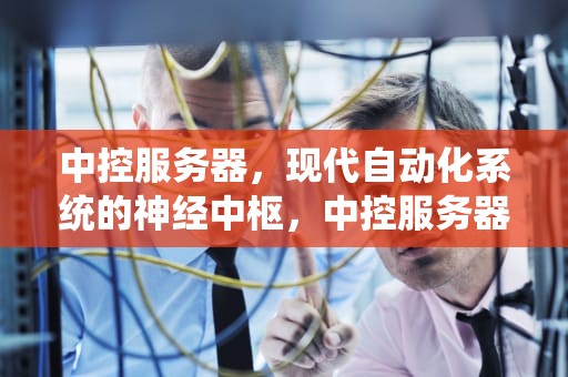 中控服务器，现代自动化系统的神经中枢，中控服务器指的是什么