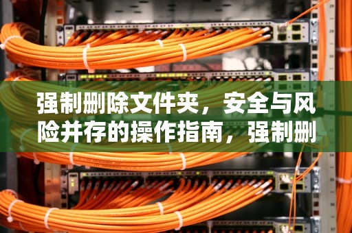 强制删除文件夹，安全与风险并存的操作指南，强制删除文件夹命令Linux