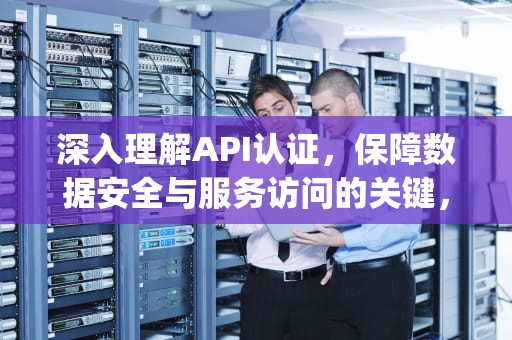 深入理解API认证，保障数据安全与服务访问的关键，api认证是什么认证