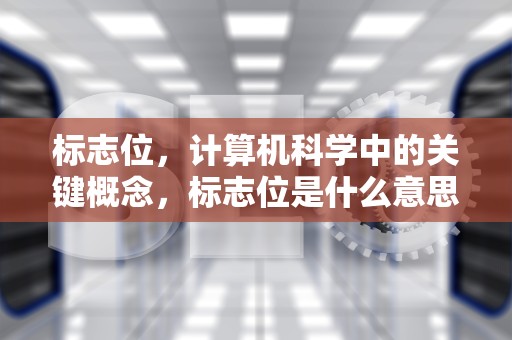 标志位，计算机科学中的关键概念，标志位是什么意思