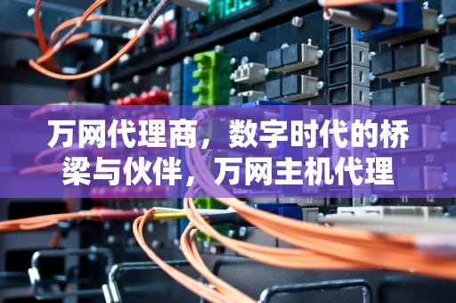 万网代理商，数字时代的桥梁与伙伴，万网主机代理
