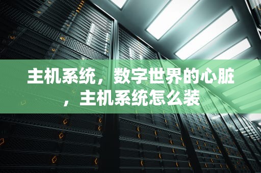 主机系统，数字世界的心脏，主机系统怎么装