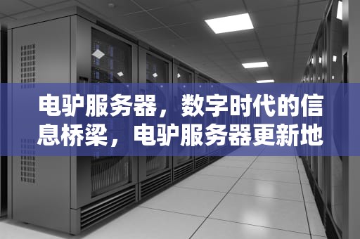 电驴服务器，数字时代的信息桥梁，电驴服务器更新地址
