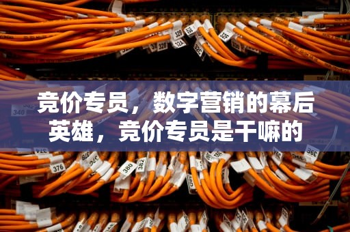 竞价专员，数字营销的幕后英雄，竞价专员是干嘛的