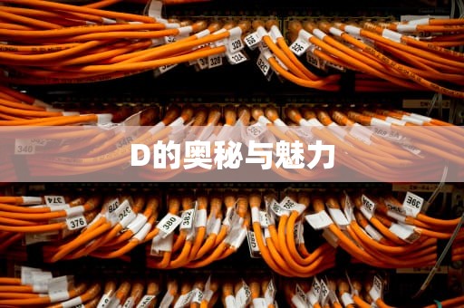 D的奥秘与魅力