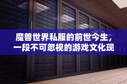 魔兽世界私服的前世今生，一段不可忽视的游戏文化现象